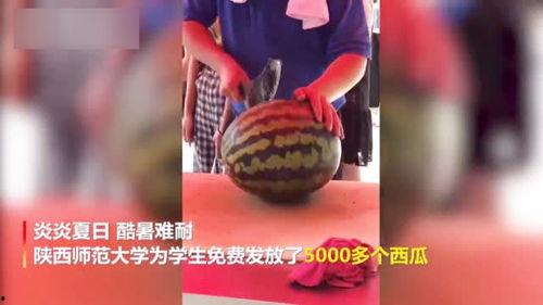 新瓜最新爆料老师视频,老师视频背后的惊人真相,新瓜爆料引发热议 第3张 新瓜最新爆料老师视频,老师视频背后的惊人真相,新瓜爆料引发热议 第3张