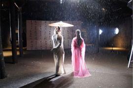 蝴蝶最新爆料视频,揭秘神秘事件内幕  第2张