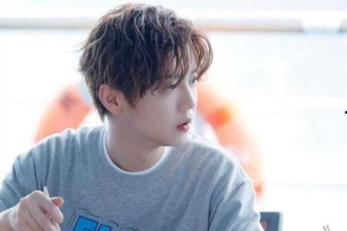 娱乐每日爆料鹿晗是谁啊,鹿晗背后的故事与影响力  第2张